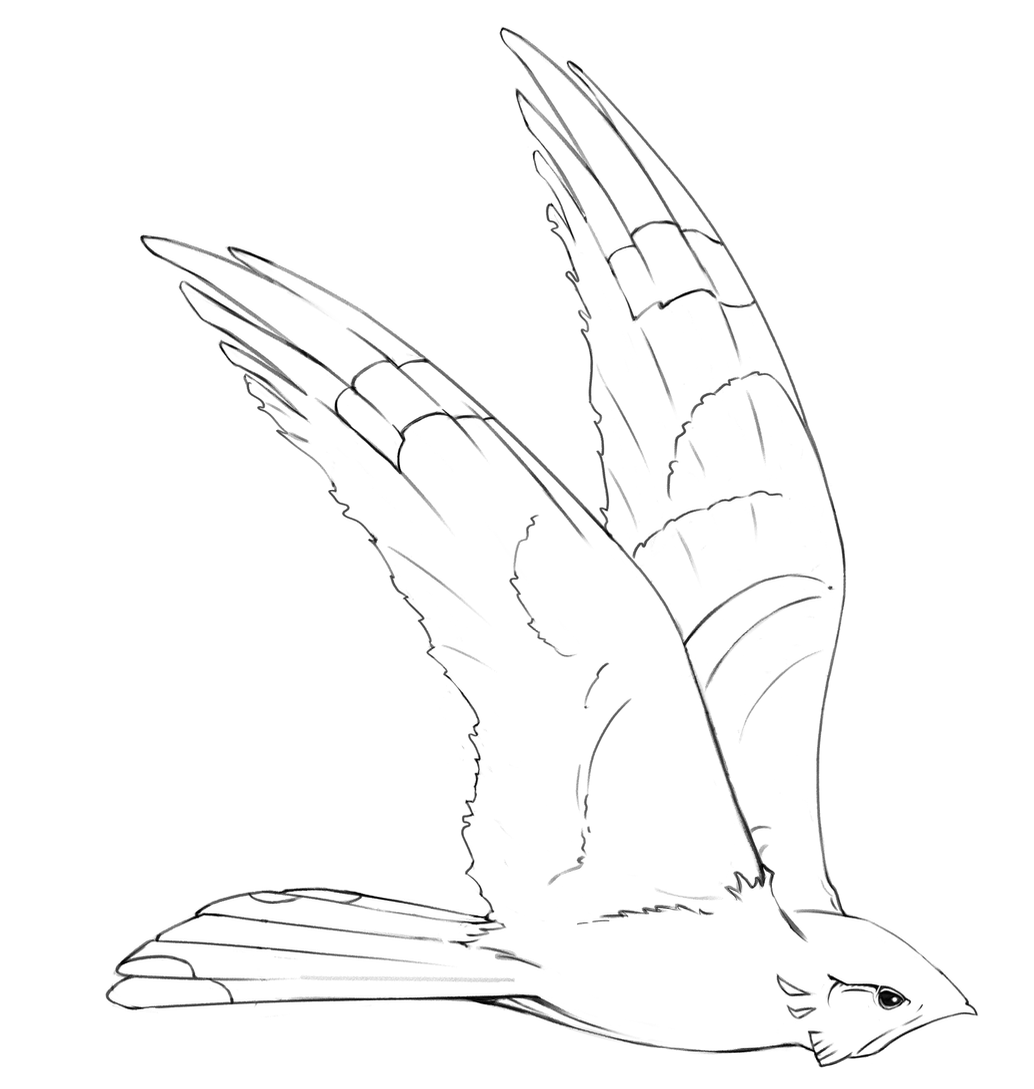 2022-06-09 Bird Tattoo.png